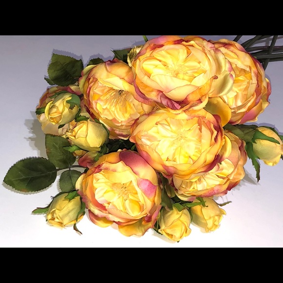 Yellow Pink Roses